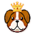 Doge-king