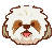 Shih-tzu