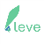 Leve-invest