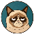 Grumpy-cat_